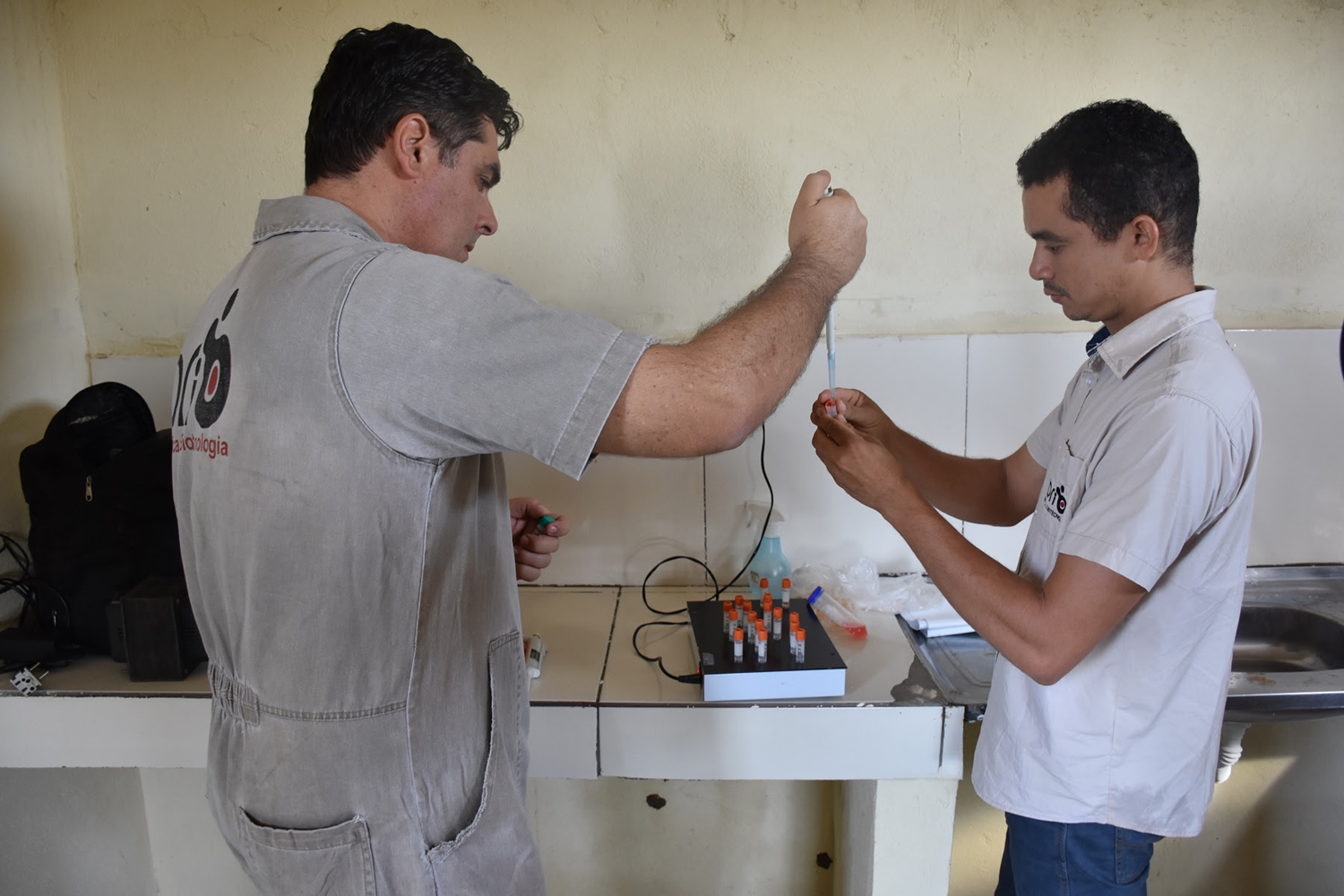Bovinocultores são beneficiados com melhoramento genético no Piauí