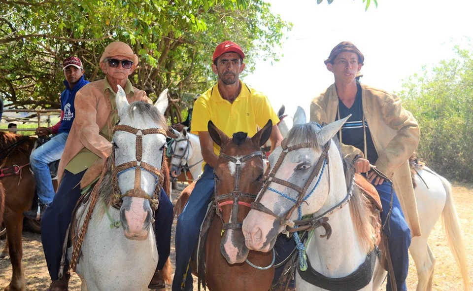 Amigos na vaqueirada 