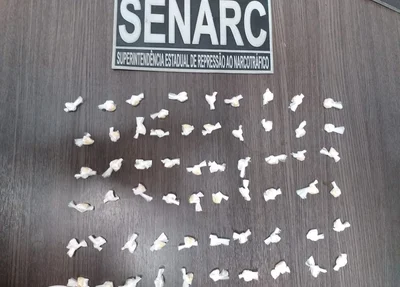 Material apreendido pelo DENARC