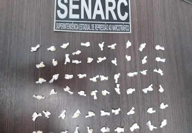 Material apreendido pelo DENARC