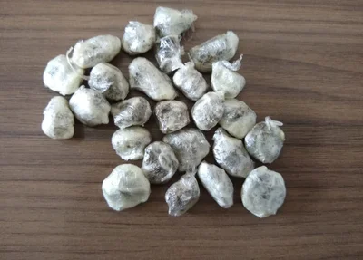 Trouxas de maconha encontradas com o suspeito