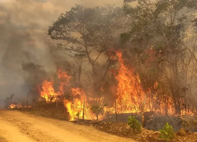 Incêndio em Piripiri