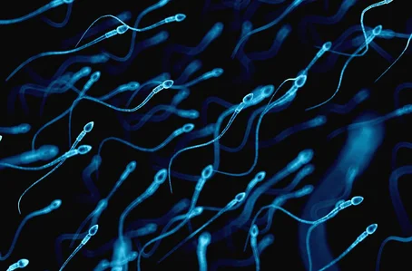 Banco de esperma é processado após mulher ter filho anão
