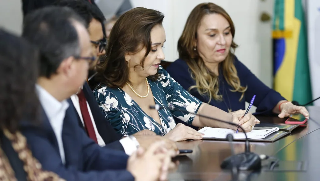 Diretora da ADH, Giovana Gayoso