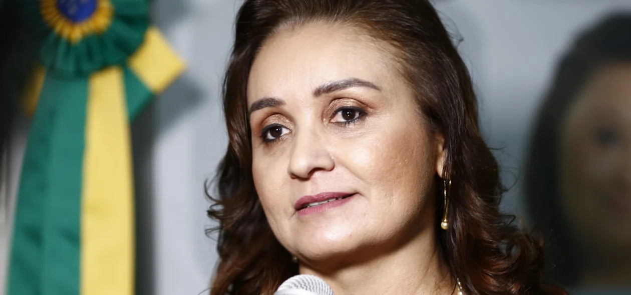 Giovana Gayoso, diretora da ADH