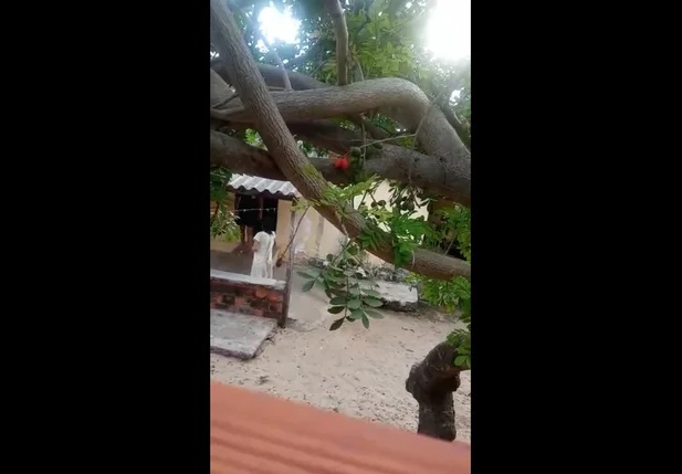 Idosa é agredida pelo próprio bisneto