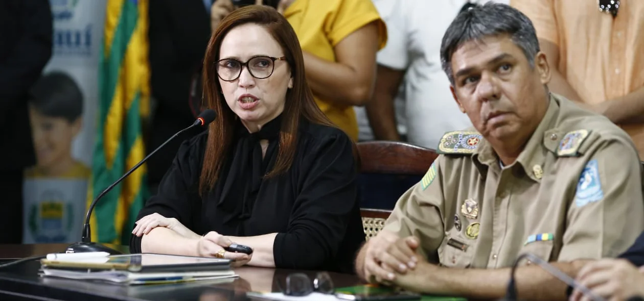 Superintendente de Parcerias e Concessões, Viviane Moura
