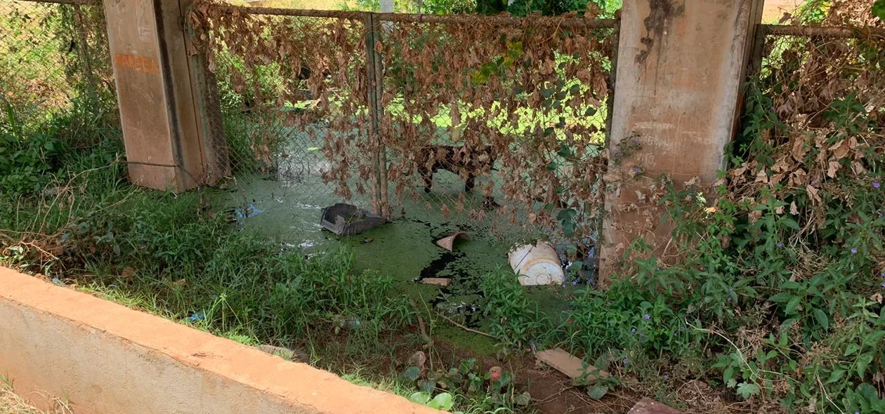 Lama se acumula 