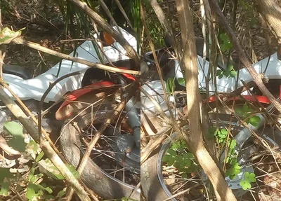 Motocicleta recuperada estava escondida em uma região de mata