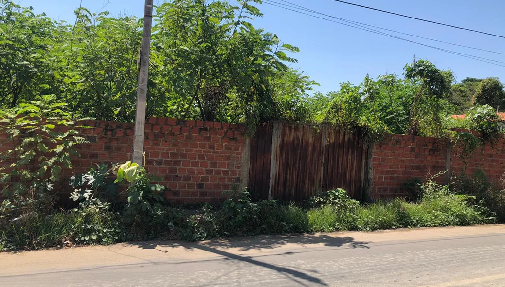 Muitos matos nos terrenos abandonados na zona sul de Teresina