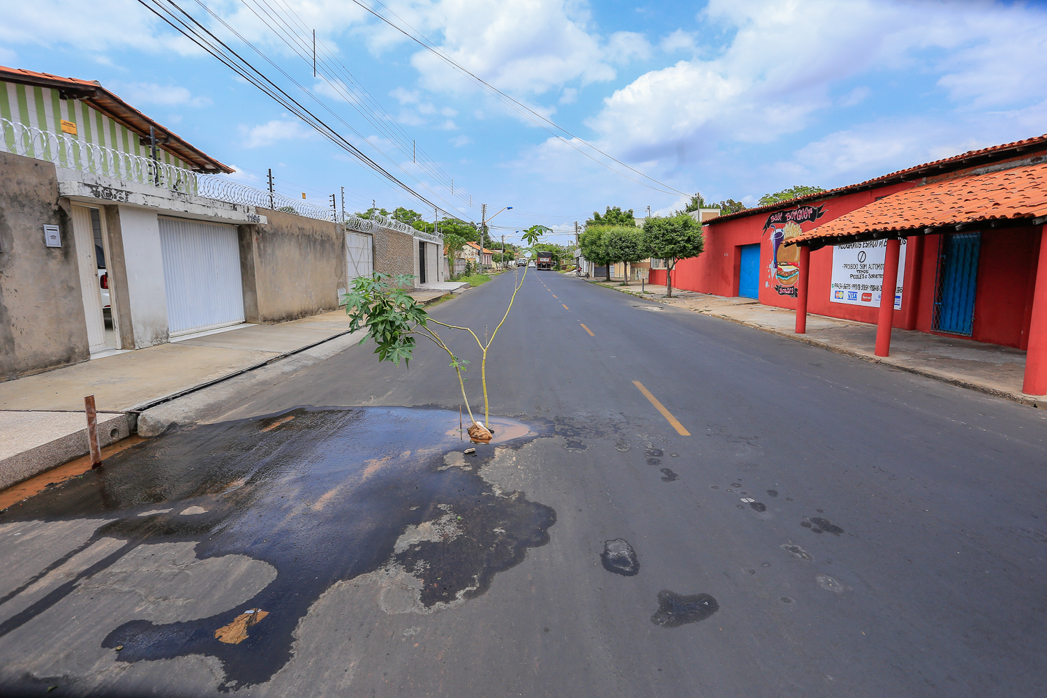 Avenida abidias Néves 