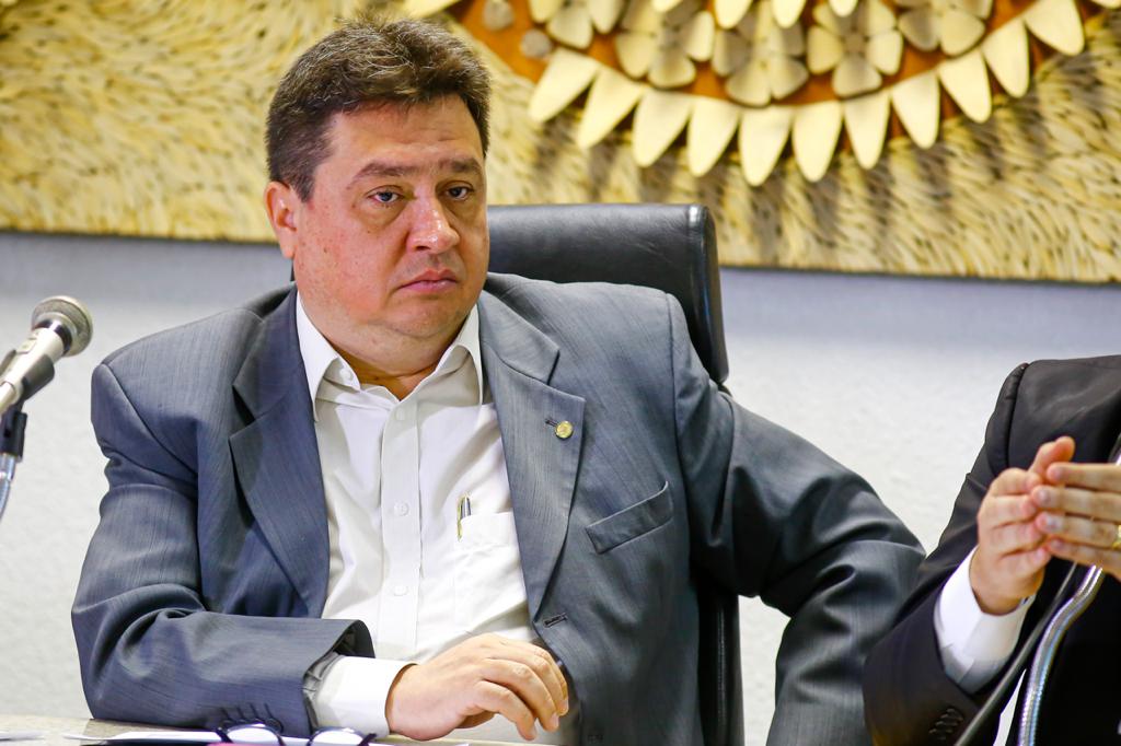 Nerinho