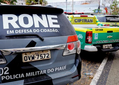 Veículos do RONE e da CIPTRAN 