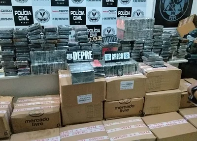 Droga apreendida pelo GRECO