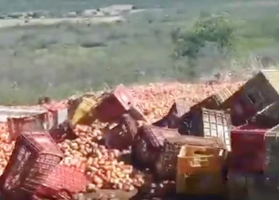 Carga de tomate foi saqueada