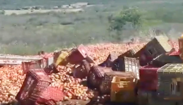 Carga de tomate foi saqueada