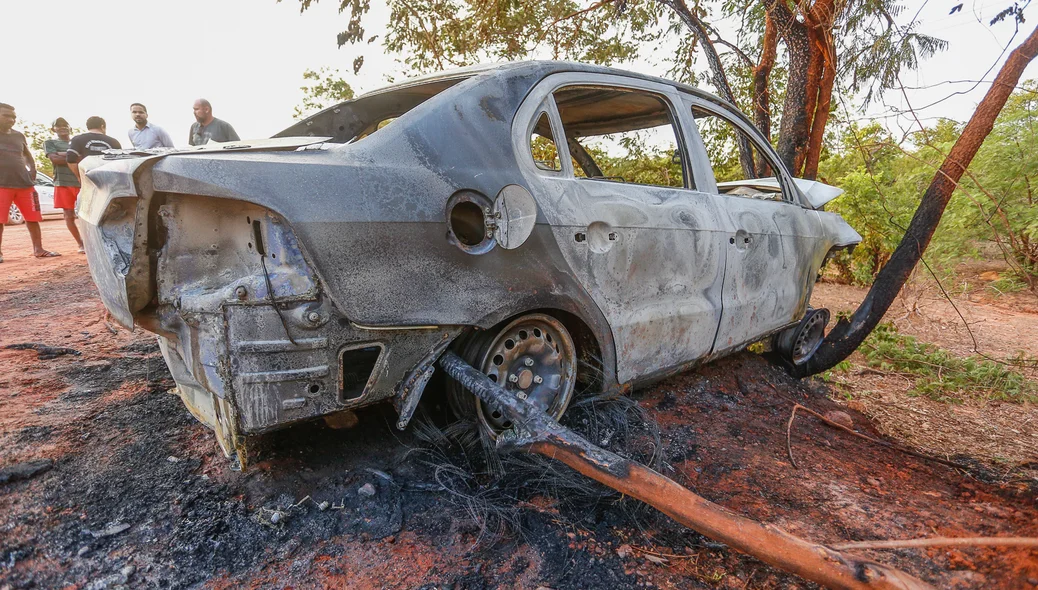 Veículo pegou fogo após bater em árvore