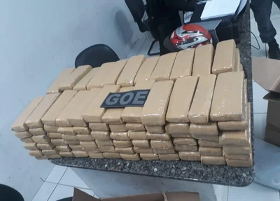 Maconha apreendida pela PM de Timon