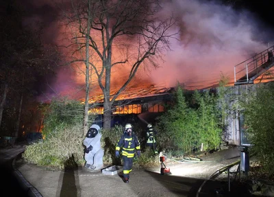 Incêndio em zoológico da Alemanha deixa vários animais mortos