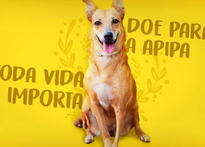 A entidade abriga mais de 300 animais