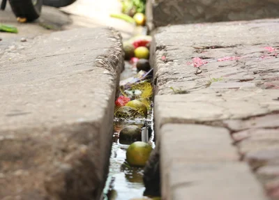 Frutas da vítima espalhadas pelo chão