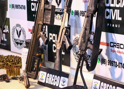Armas apreendidas 