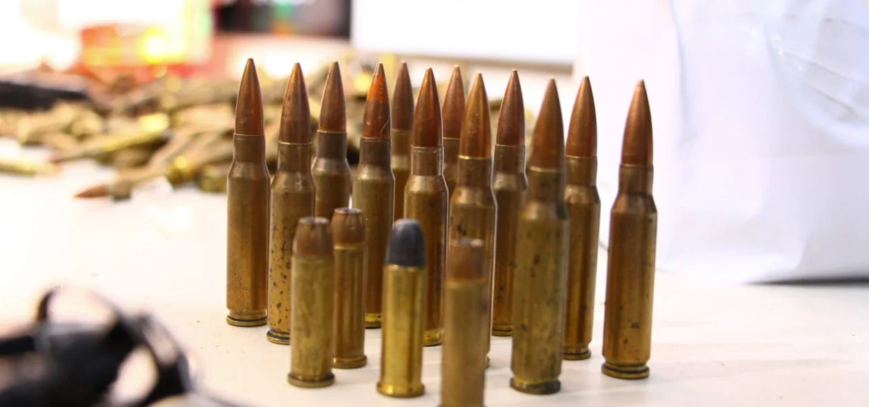 Vários calibres de munições foram encontrados pelos agentes 