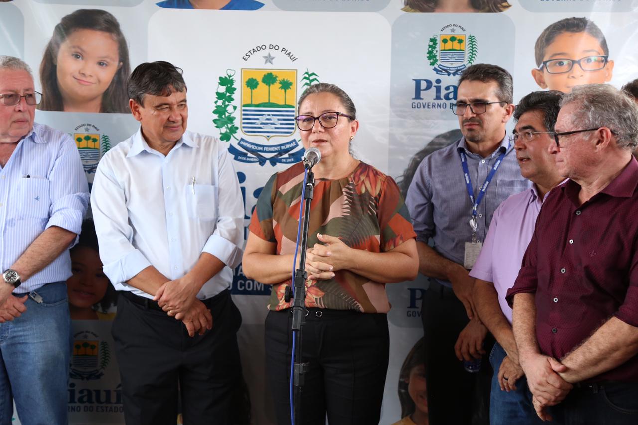 Linha de distribuição de energia Piripiri-Esperantina é inaugurada