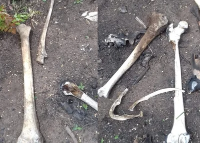 Ossada humana encontrada em Olho D´água do Piauí
