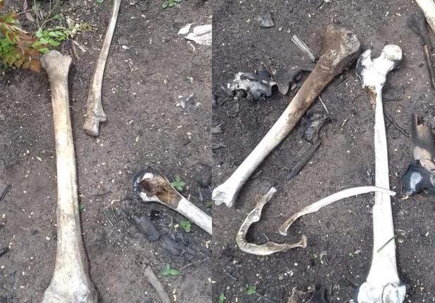 Ossada humana encontrada em Olho D´água do Piauí