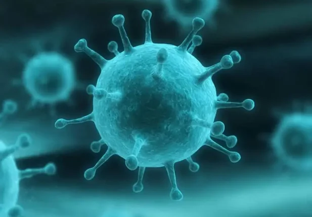 Cientistas do país isolaram com sucesso primeira cepa do vírus