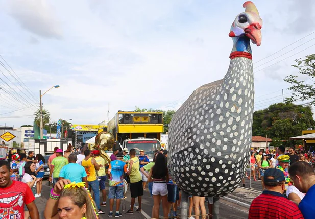 Capote da Madrugada anima folião na Avenida Dom Severino