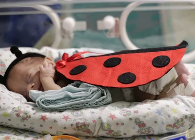 Hospital Tibério Nunes realiza ensaio fotográfico em bebês da UTI