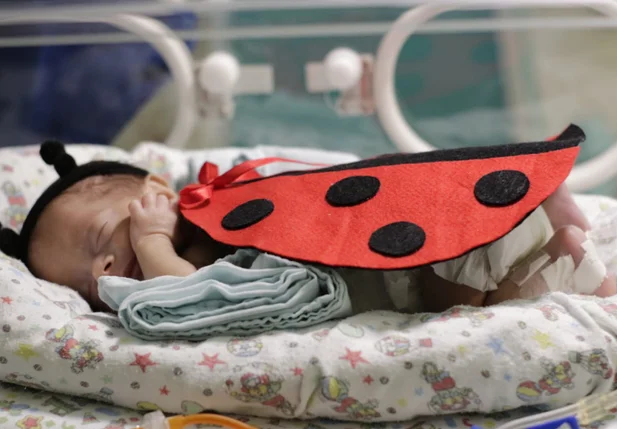 Hospital Tibério Nunes realiza ensaio fotográfico em bebês da UTI