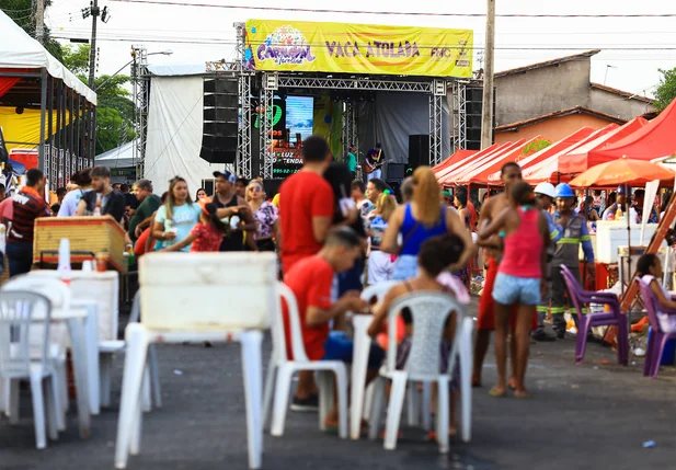Bloco Vaca Atolada anima o carnaval de Teresina Piauí 