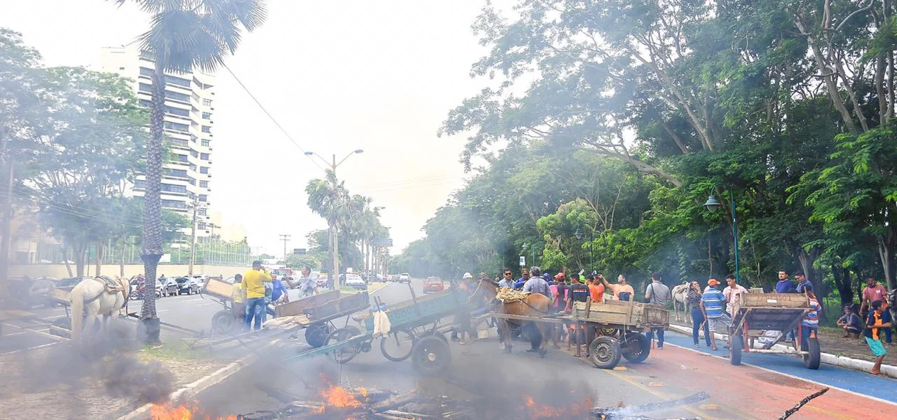 Avenida interditada pelos carroceiros 
