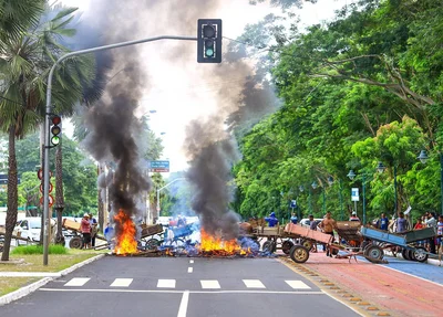 Grupo de carroceiros interditam avenida 