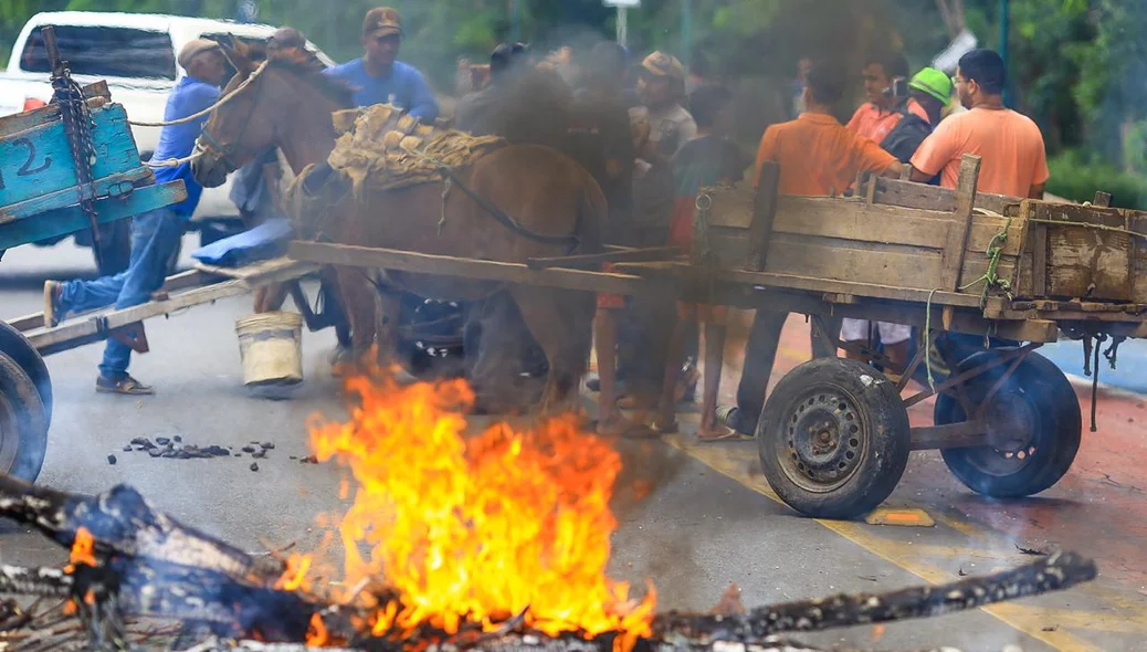 Madeira em chamas utilizada pelos carroceiros 