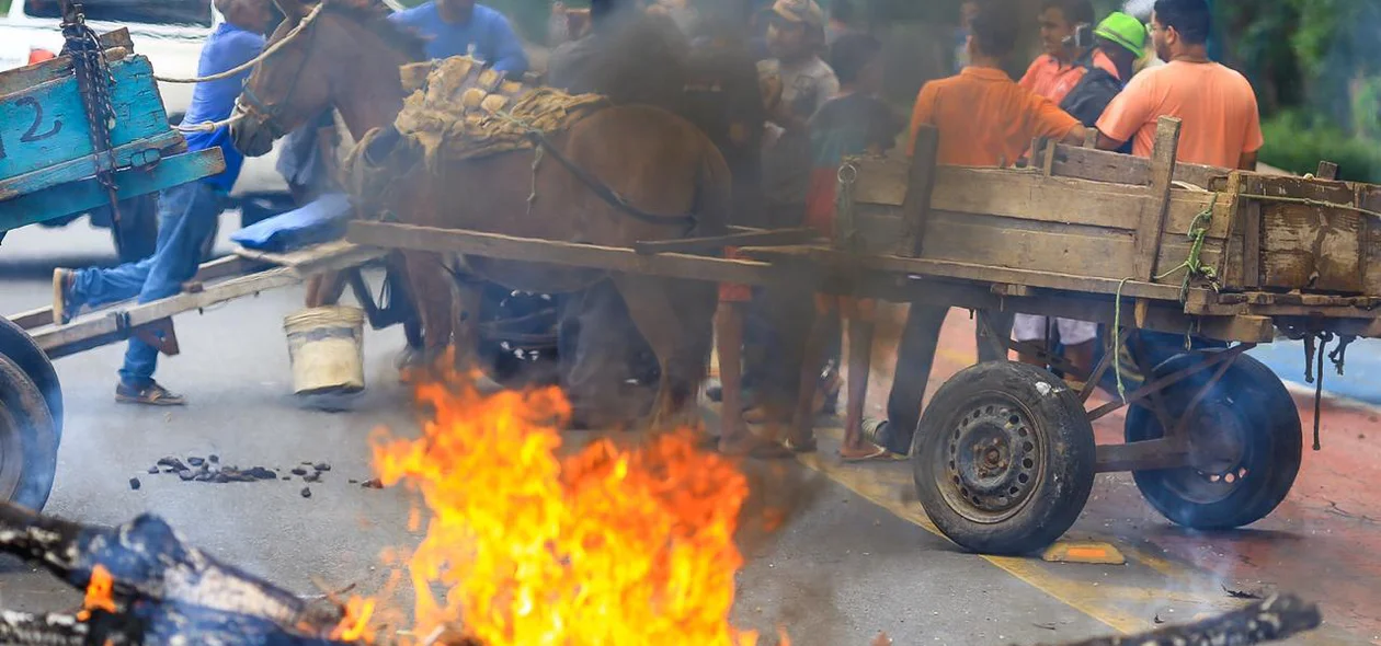 Madeira em chamas utilizada pelos carroceiros 