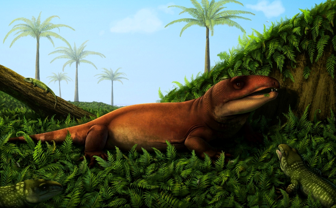 Ilustração dos répteis 