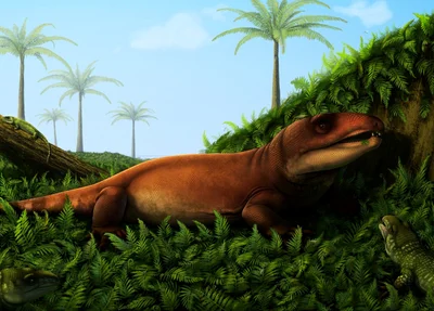Ilustração dos répteis 