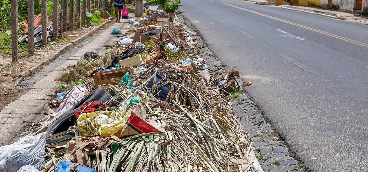 Lixo espalhado pela avenida das hortas