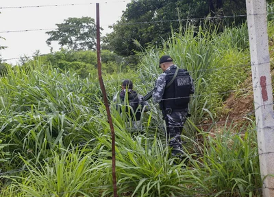  Matagal por onde os criminosos fugiram