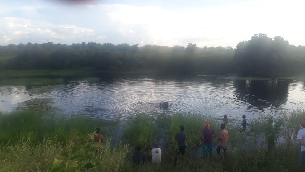 Barreiro em Betânia do Piauí