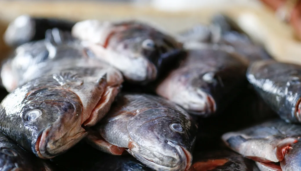 Peixes