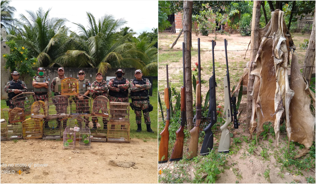 Polícia ambiental apreende armas e animais em Nazária
