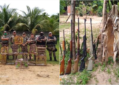Polícia ambiental apreende armas e animais em Nazária
