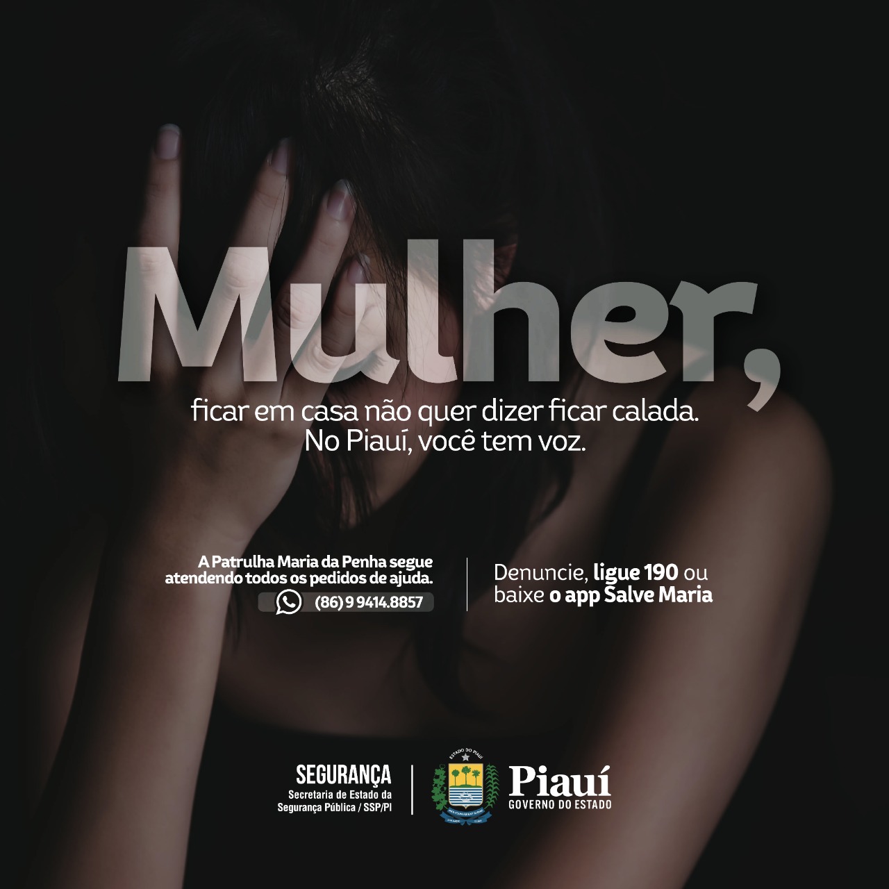 Banner da Secretaria de Segurança Pública sobre a violência contra a mulher