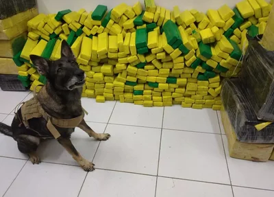 Maconha tinha como destino a cidade de Picos