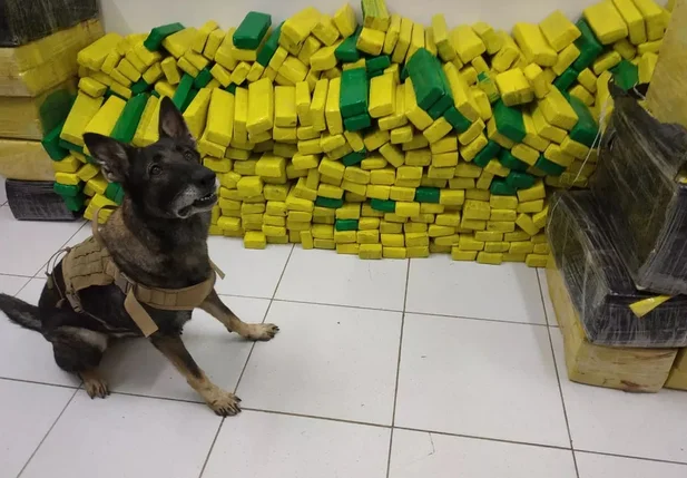 Maconha tinha como destino a cidade de Picos